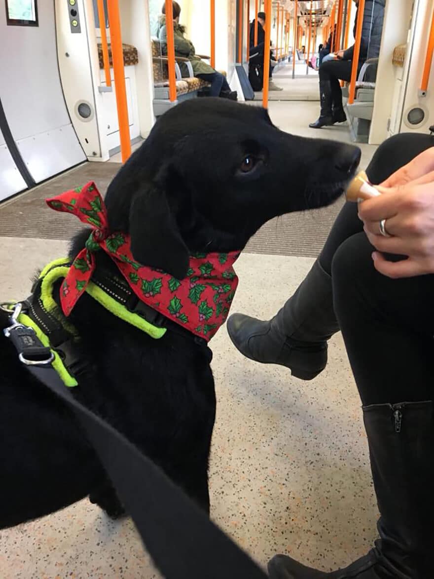 Betty on a London Underground train